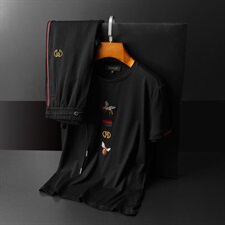 D215/T28146欧洲站新款夏装丝光潮流男士短袖T恤休闲运动套装，男装套装，电商D320(原D215)