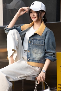BAO牛仔外套女春秋短款25新款设计感休闲宽松立领夹克小个子上衣图片