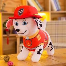 毛毛