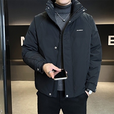 标50短款立领纯色羽绒服男B321-Y7901-P225，男装羽绒服，电商B321-1