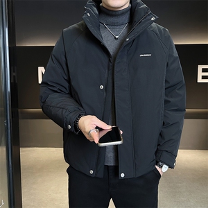 标50  短款立领纯色羽绒服男 B321-Y7901-P225图片