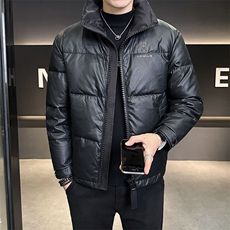 羽绒服男2024新款立领小熊刺绣羽绒皮外套B240-YR18916-P175，男装羽绒服，电商B240