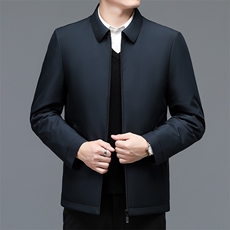 2024年新款羽绒服P265，男装羽绒服，电商D223-1