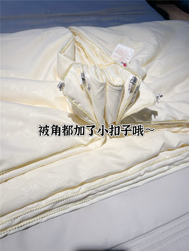 2025春季新款被子被芯春秋被冬被保暖被子纯色,女装床品套件,蒙绒特