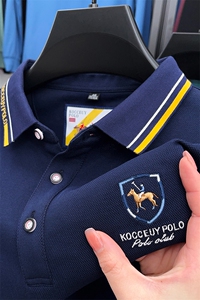 2023秋季新款简约翻领Polo衫男士爸爸装休闲时尚百搭潮牌长袖T恤图片