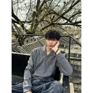 现货~老钱风罗马格意式一片领猫眼宝石扣polo长袖男~C25231批45图片