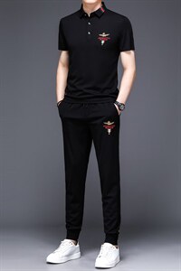 2023新款男士休闲运动套装中年男装夏季翻领短袖t恤冰丝一套衣服图片