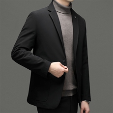 2024年新款男士羽绒服P210，男装羽绒服，电商D223-1