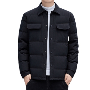 2024 冬季新款2388款立体剪裁50%灰鸭绒羽绒服 P135图片