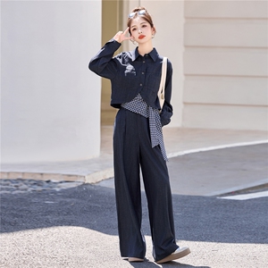 休闲时尚方格牛仔套装女2025年春秋新款高腰宽松显瘦阔腿裤三件套图片