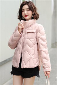 2021冬季新款羽绒服立领口袋款90白鸭绒休闲款纯色图片