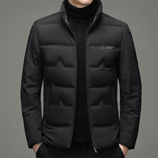 白鸭绒羽绒服男中长款羽绒服冬季中年男休闲立领外套ZL6701-P210，男装羽绒服，电商B212（原钱塘6029）