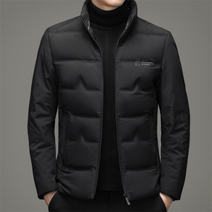 白鸭绒羽绒服男中长款羽绒服冬季中年男休闲立领外套ZL6701-P210图片