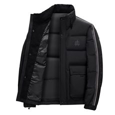 BAMJ-8951钱塘2020-2中年男士冬季厚款立领百搭简约羽绒服P220，男装羽绒服，钱塘207-2