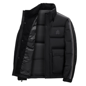 BAMJ-8951钱塘2020-2中年男士冬季厚款立领百搭简约羽绒服P220图片