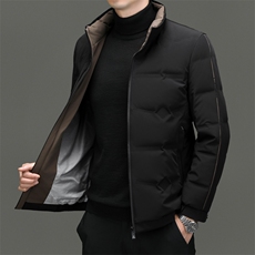 羽绒服男士轻薄保暖短款上衣2024冬季新款商务休闲立领夹克外套男，男装羽绒服，电商B212（原钱塘6029）