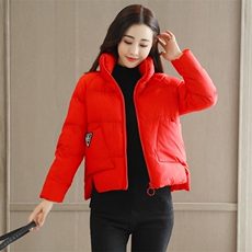 口袋修身短款长袖2020年冬季锦纶立领棉衣/棉服，女装棉衣/棉服，瑶迪依秀