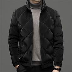男士加厚保暖立领羽绒服中年爸爸装商务休闲上衣冬季新款男装外套，男装羽绒服，电商B212（原钱塘6029）
