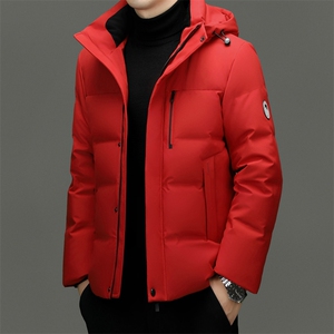 男装羽绒服YR9829新品主推必上！95绒活帽牛奶丝3色 充绒131g图片