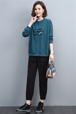 2022春季新款简约时尚圆领字母植绒印花宽松休闲舒适两件套图片