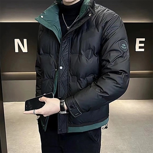 抖音直播2024 标羽绒潮款 羽绒服男图片