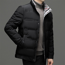 BJY15320钱塘2020-2冬季厚款时尚休闲立领中年男士羽绒服P195，男装羽绒服，钱塘207-2