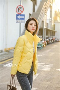 冬季新款 大方时尚的一款羽绒服,女装羽绒服,红火丹妮