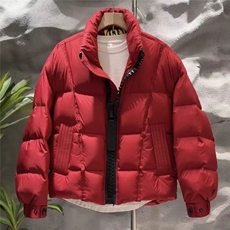 (网图)50白鸭绒276-318克大拉链设计感羽绒服313B-25900-P230，男装羽绒服，星座313B