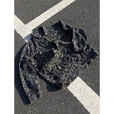 B221美式高街暗黑小众重工艺印花牛仔外套SY2536-特P70控118，男装工装外套，电商B221