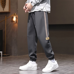裤子男秋冬简约休闲裤加厚束脚卫裤宽松运动裤D5039-P50/加绒P60图片