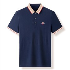 夏季新款男士翻领短袖t恤中年有领男装上衣服休闲POLO衫，男装T恤，电商B212（原钱塘6029）