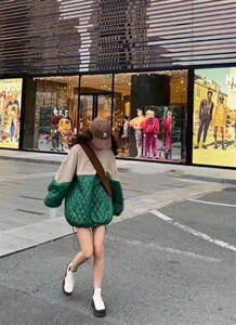 加绒卫衣拼图片