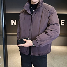 90新标2025冬立领加厚外套简约休闲短款设计款羽绒服Z9558-P295，男装羽绒服，电商A413