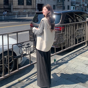 现货主推新款双面羊毛连帽休闲百搭宽松减龄背心马甲图片