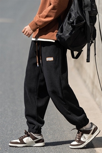 2024冬新款cityboy日系加绒加厚宽松束脚休闲运动裤 K252-P40控78图片