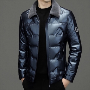 CXZZ068钱塘2020-2中青年男士冬季厚款时尚休闲百搭羽绒服P190图片