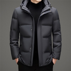 冬季男士白鸭绒羽绒服加绒面包服品质可脱卸帽休闲保暖简约男装，男装羽绒服，钱塘6003（原4033）