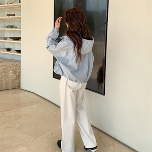 蓝色连帽冲锋衣外套女2025春秋季新款设计感休闲显瘦工装夹克上衣图片