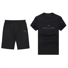 夏季中老年短袖t恤男冰丝速干翻领POLO衫中年人休闲时尚百搭男装，男装休闲套装，电商B212（原钱塘6029）