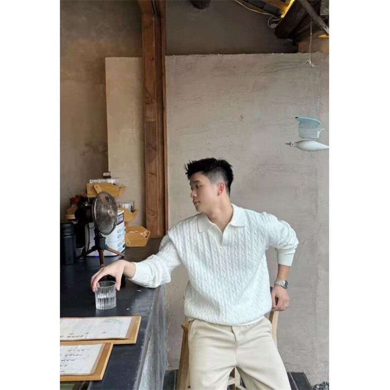 网图慎用程南同款D1201降P752025秋冬海鸥领毛衣针织衫,男装针织衫/毛衣,电商B216（原B302）