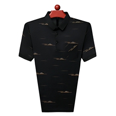 男式2024年夏季新款T恤衫男短袖翻领休闲polo中老年爸爸装体恤，男装T恤，电商B212（原钱塘6029）