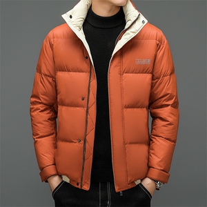 2022男短款中青年白鸭绒时尚加厚保暖休闲羽绒服外套 XY8222-P255图片