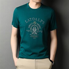 时尚2023年上衣宽松百搭圆领夏季短袖潮流中年T恤TYH2120，男装T恤，钱塘6003（原4033）