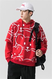 卫衣男连帽秋季韩版潮流ins宽松情侣衣服男士假两件外套DF26T图片