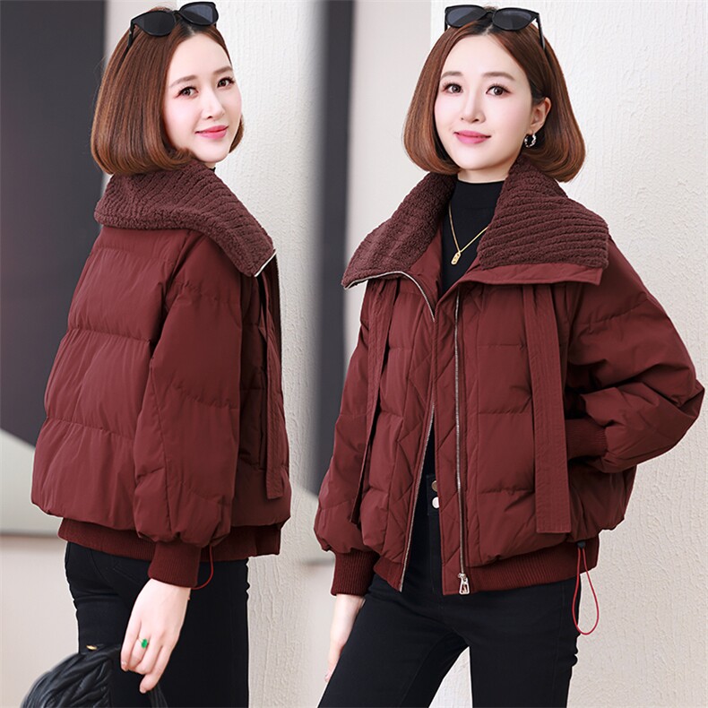 洋气减龄大翻领羽绒服女2024冬季新款宽松气质保暖短款白鸭绒外套,女装羽绒服,婷思杰（原婷想服饰）