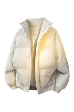 立体新款冬季羽绒立领PU皮棉服棉袄韩版宽松外套A436-2522-P80，男装棉衣，电商A436