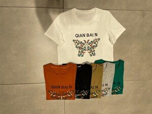 刺绣T,其它,云落伊里(1F)