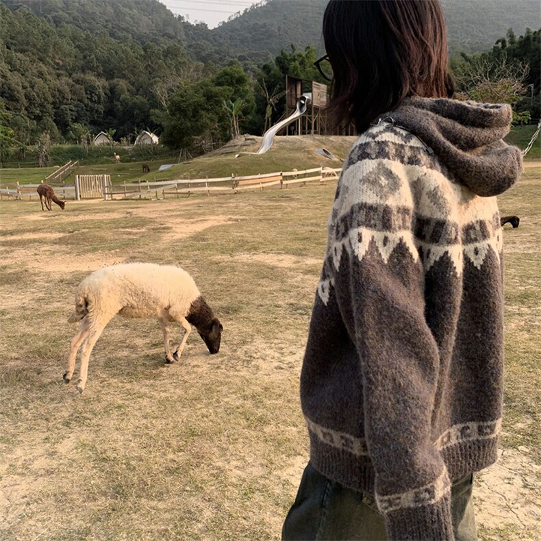 重磅秋冬北极绒开衫毛衣美式复古休闲慵懒风牛角扣针织衫连帽外套,男装针织衫/毛衣,电商A486-1