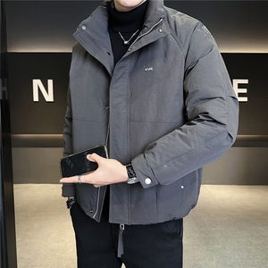 标50绒 羽绒服男冬季2025新款立领时尚外套 A313-3306-P215图片