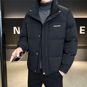标50绒立领男士羽绒服冬季2025新款加厚冬装外套A313-3318-P205图片